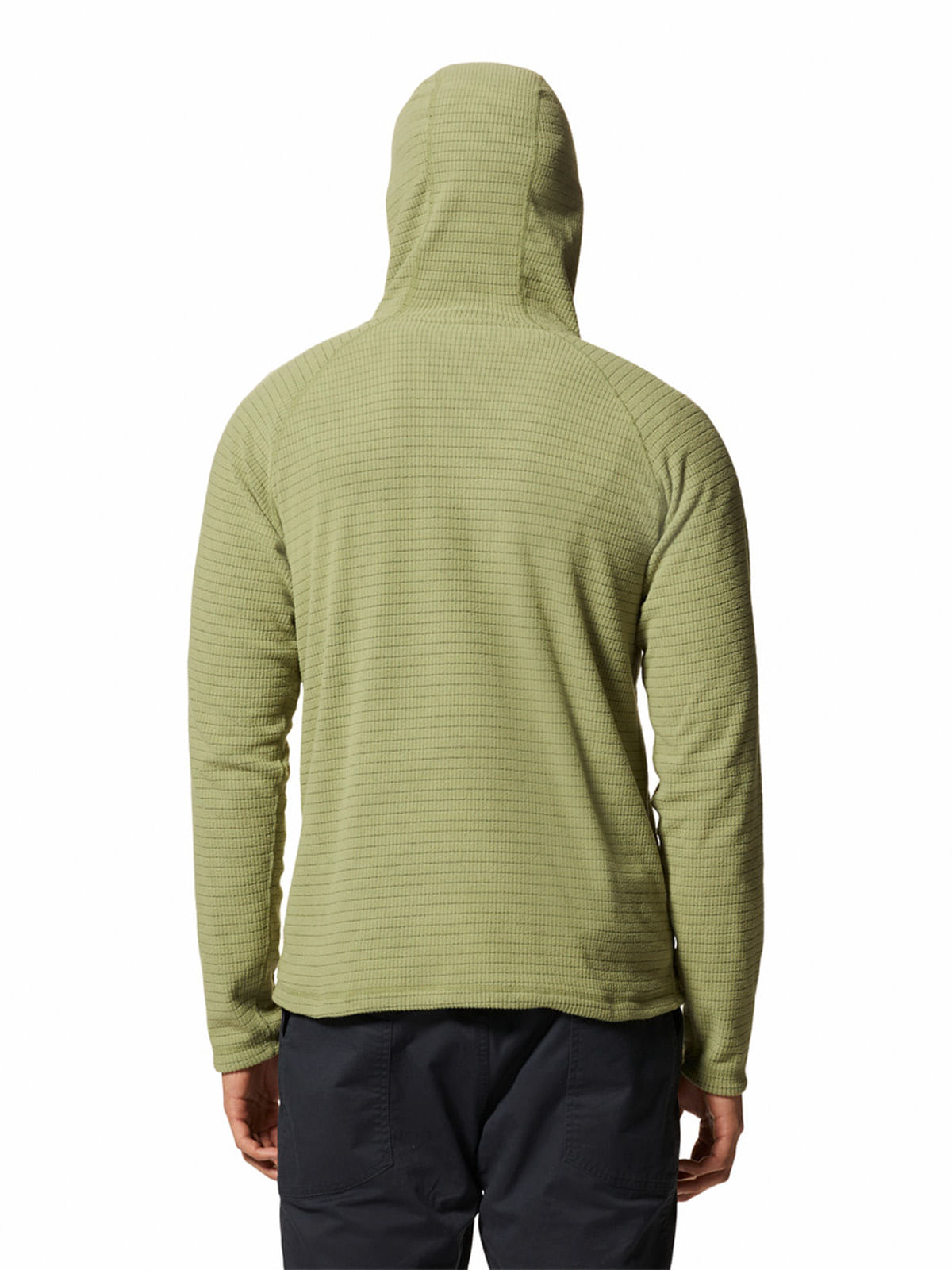 Polar Hombre Summit Grid¿  Verde