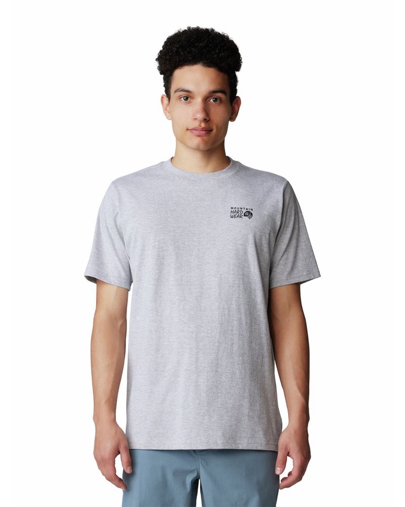 Polera-Manga-Corta-Hombre-Back-Logo-Gris-Mountain-Hardwear