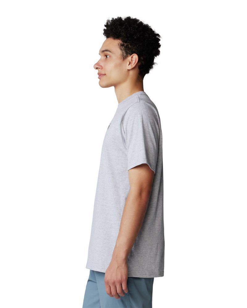 Polera-Manga-Corta-Hombre-Back-Logo-Gris-Mountain-Hardwear
