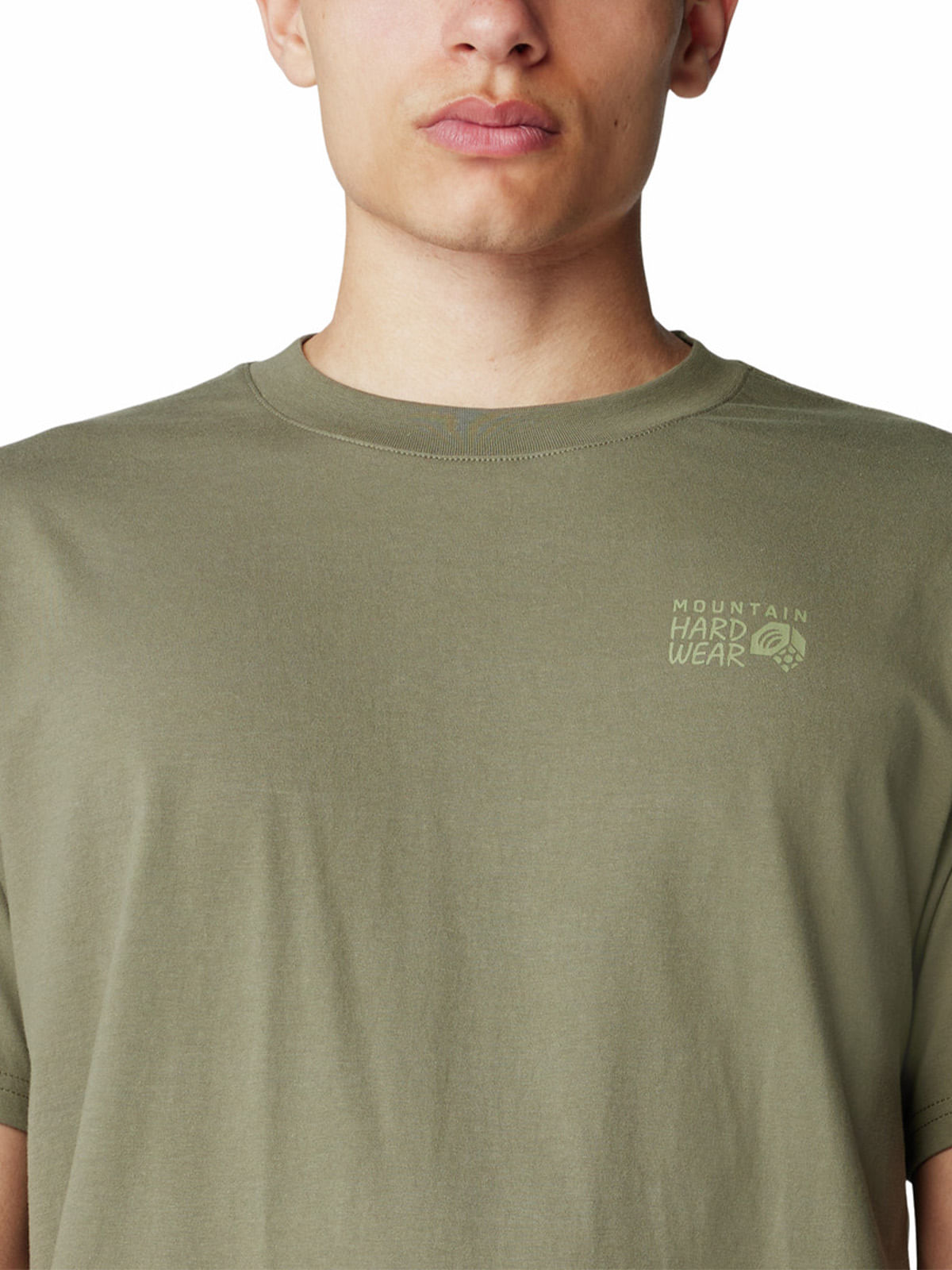 Polera Manga Corta Hombre Back Logo Gris Mountain Hardwear