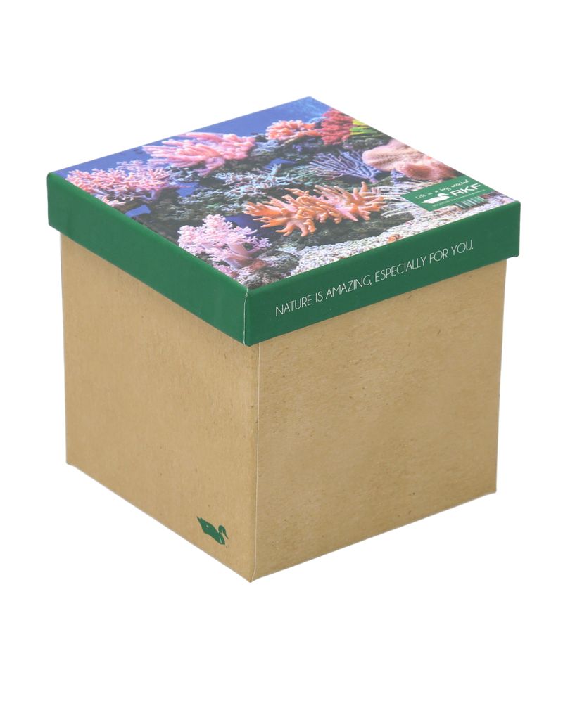 Calcetin-Bambu-Mujer-Packift-Cor-Multicolor-Rockford