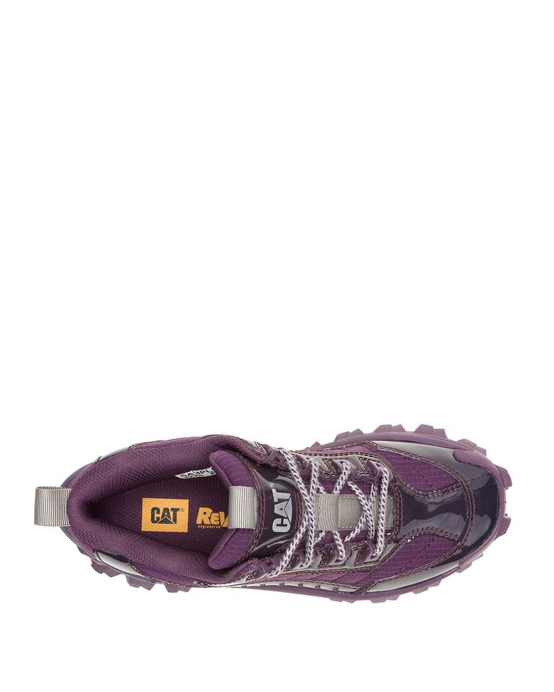 Zapatilla-Casual-Mujer-Intruder-Ignite-2.0-Mujer-Morado-Cat