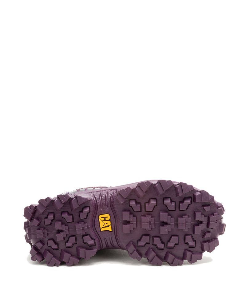 Zapatilla-Casual-Mujer-Intruder-Ignite-2.0-Mujer-Morado-Cat