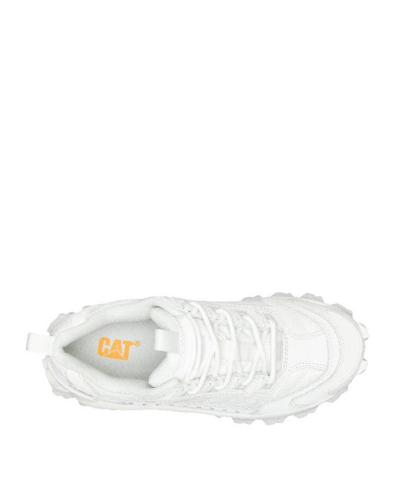 Zapatilla-Casual-Mujer-Intruder-Blanca-Cat