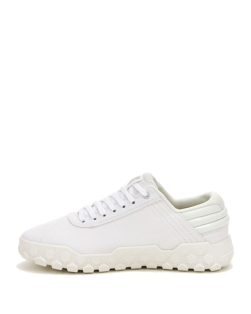 Zapatilla-Canvas-Mujer-Hex---Blanca-Cat
