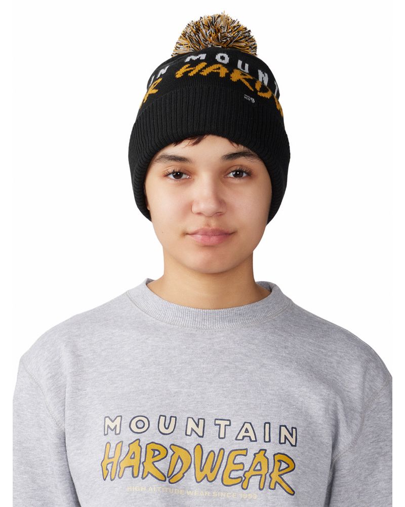 Gorro-ApresPro-Gris-Mountain-Hardwear