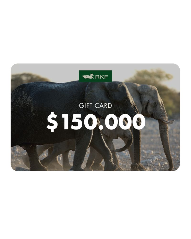 GIFTCARD_RKF_150MIL.jpg
