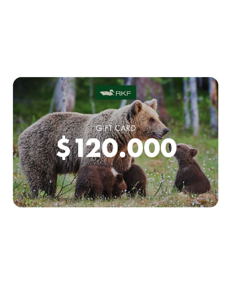 GIFTCARD_RKF_120MIL.jpg