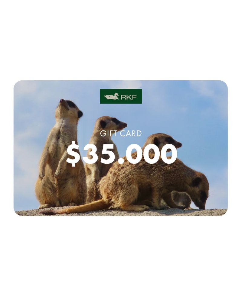 GIFTCARD_RKF_35MIL.jpg