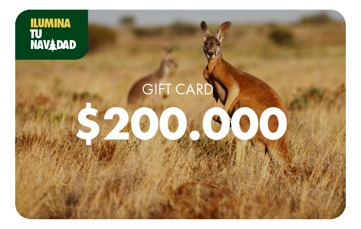 Gift Card $200.000