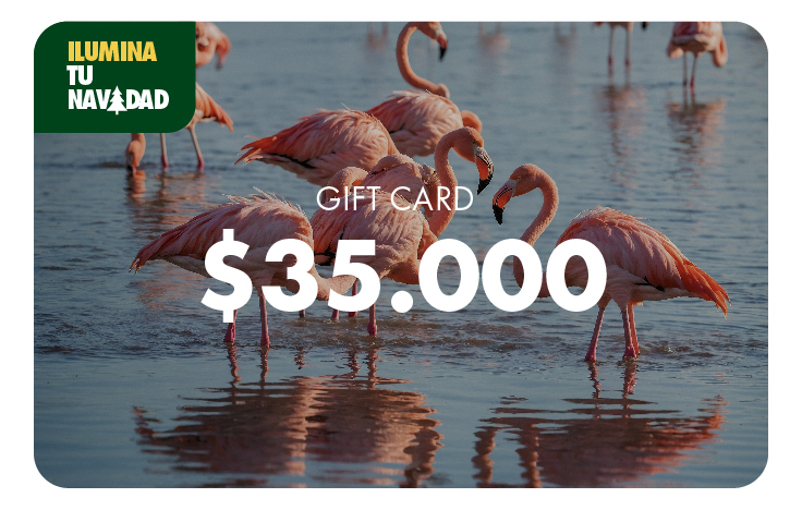 Gift Card $35.000