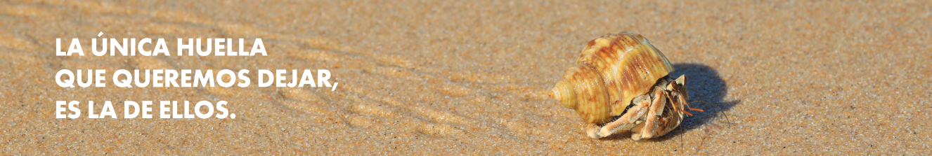 oceano